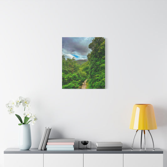 Torc Trail Matte Canvas, Stretched, 1.25"