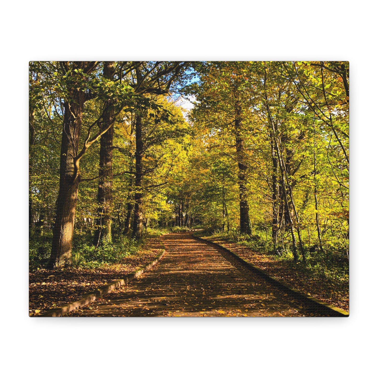 Listowel Town Park Autumn Matte Canvas, Stretched, 1.25"