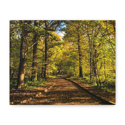 Listowel Town Park Autumn Matte Canvas, Stretched, 1.25"