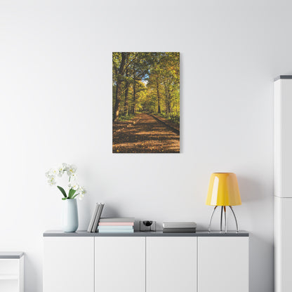 Listowel Town Park Autumn Matte Canvas, Stretched, 1.25"
