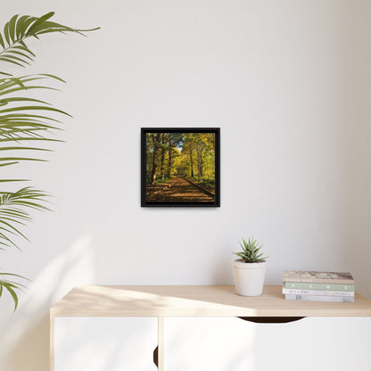 Listowel Town Park Autumn Matte Canvas, Framed (Multi-color)