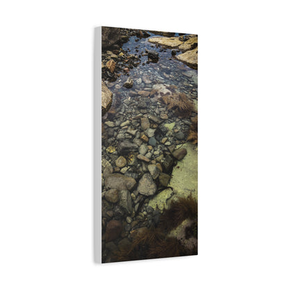 Rocks Matte Canvas, Stretched, 1.25"