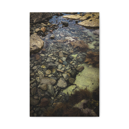 Rocks Matte Canvas, Stretched, 1.25"