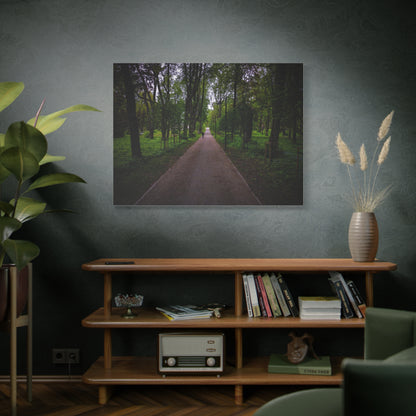 Zagares Park Lithuania Matte Canvas, Stretched, 1.25"