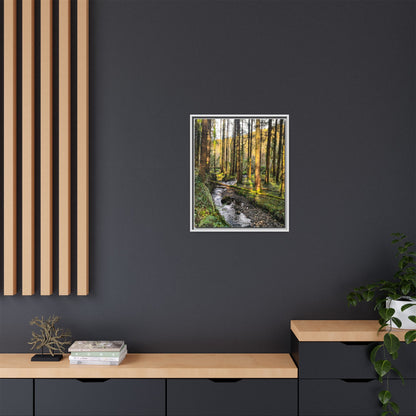 Glanageenty Forest Trail 2 Matte Canvas, Framed (Multi-color)