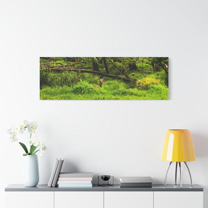 Deer in Ditch Matte Canvas, Stretched, 1.25"