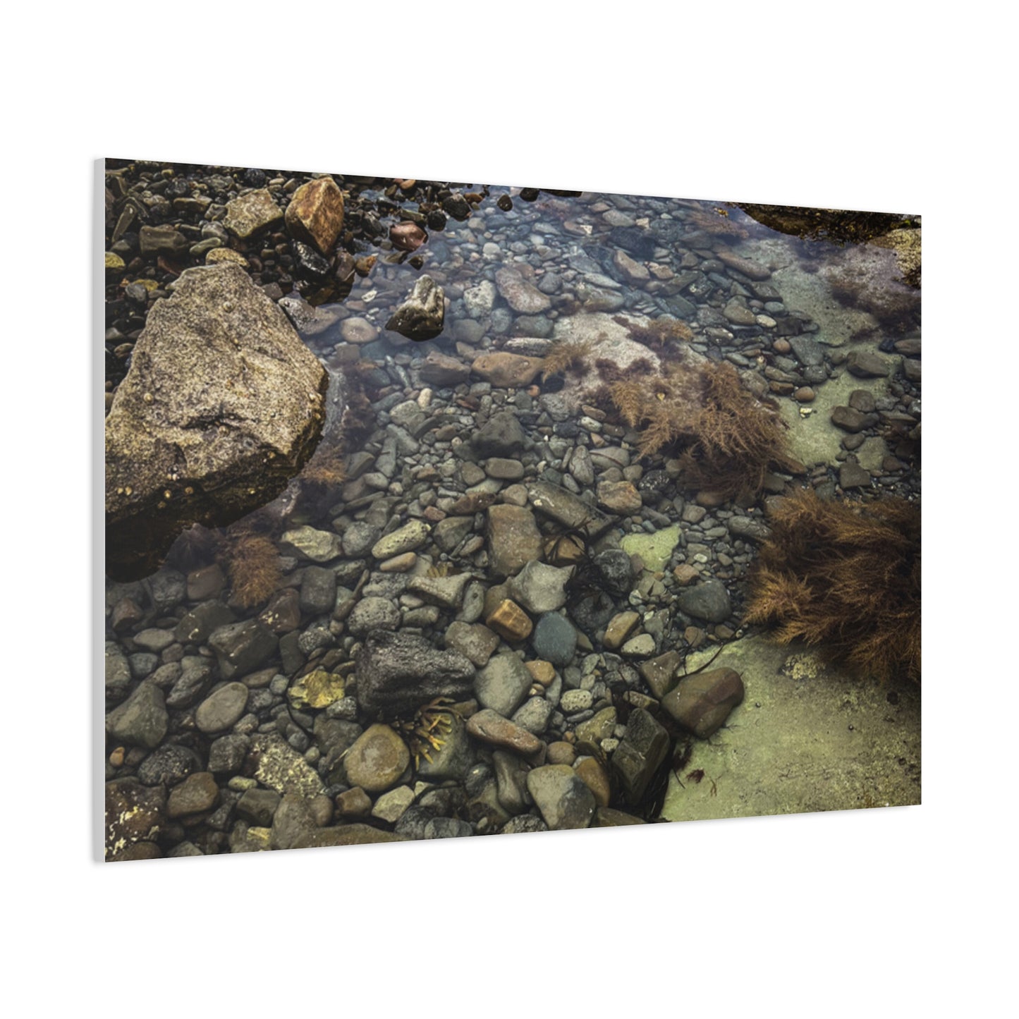 Rocks Matte Canvas, Stretched, 1.25"