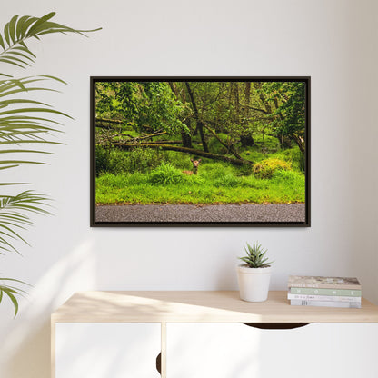 Deer in Ditch Matte Canvas, Framed (Multi-color)