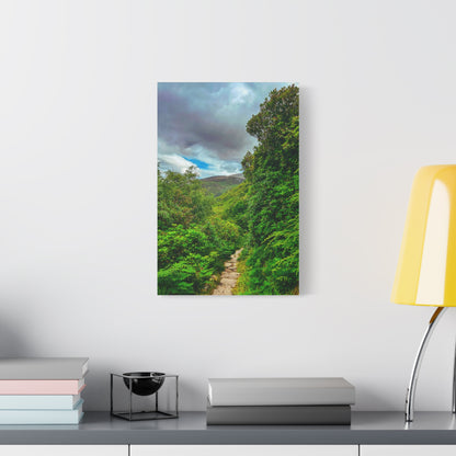 Torc Trail Matte Canvas, Stretched, 1.25"