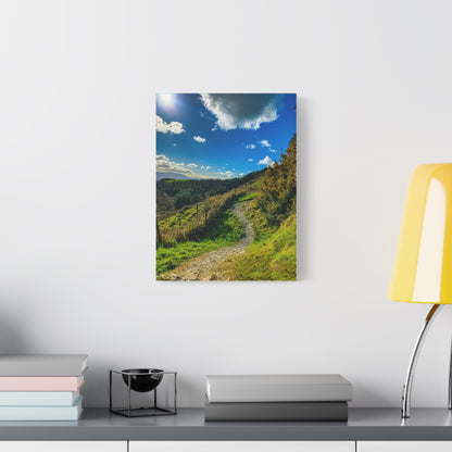 Glanageenty Forest Trail Matte Canvas, Stretched, 1.25"