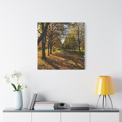 Listowel Town Park Autumn Matte Canvas, Stretched, 1.25"