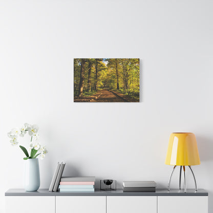 Listowel Town Park Autumn Matte Canvas, Stretched, 1.25"