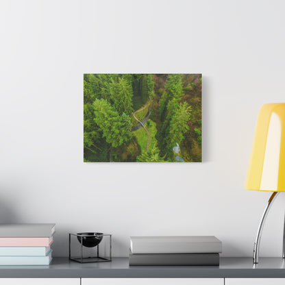 Glanageenty Forest Matte Canvas, Stretched, 1.25"