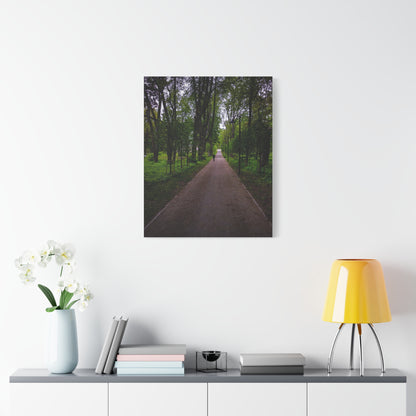 Zagares Park Lithuania Matte Canvas, Stretched, 1.25"