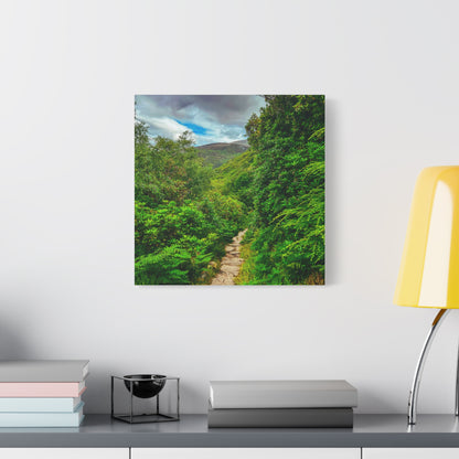 Torc Trail Matte Canvas, Stretched, 1.25"