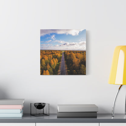 Somewhere in Lithuania Matte Canvas, Stretched, 1.25"