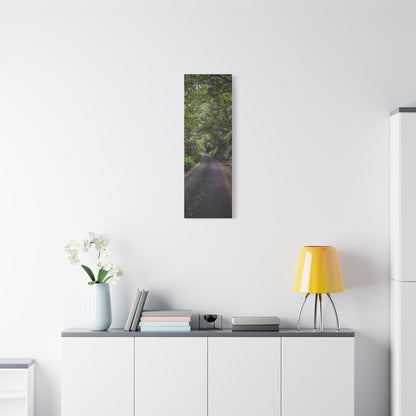 Glanageenty Forest Trail Matte Canvas, Stretched, 1.25"