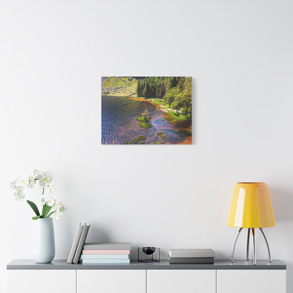 Gleanteenassig Forest Matte Canvas, Stretched, 1.25"