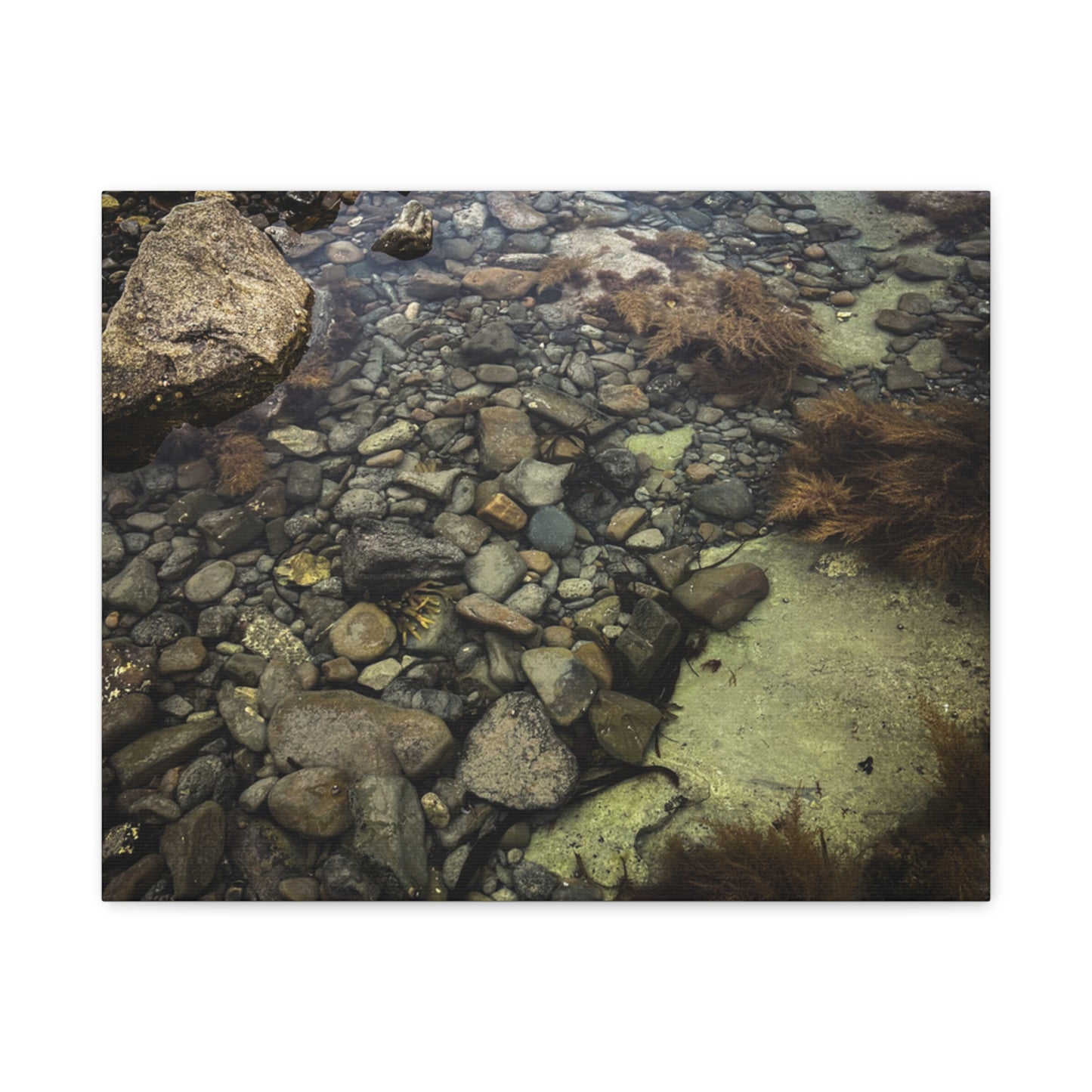 Rocks Matte Canvas, Stretched, 1.25"