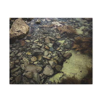 Rocks Matte Canvas, Stretched, 1.25"