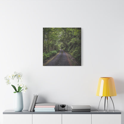 Glanageenty Forest Trail Matte Canvas, Stretched, 1.25"