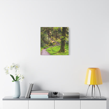 Torc Trail Matte Canvas, Stretched, 1.25"