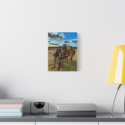 Horses Matte Canvas, Stretched, 1.25"