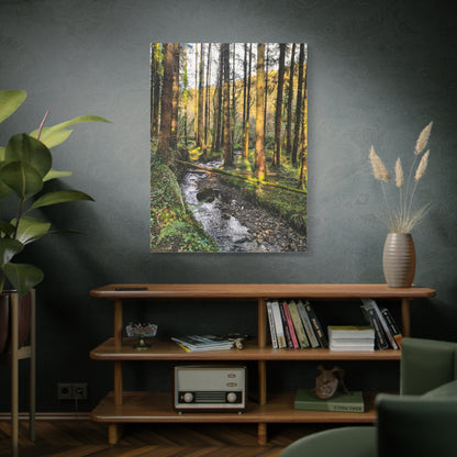 Glanageenty Forest Trail 2 Matte Canvas, Stretched, 1.25"