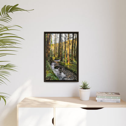 Glanageenty Forest Trail 2 Matte Canvas, Framed (Multi-color)