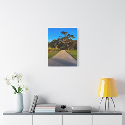 Muckross House Garden Matte Canvas, Stretched, 1.25"