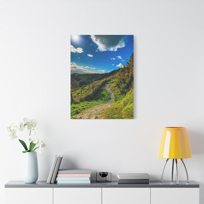Glanageenty Forest Trail Matte Canvas, Stretched, 1.25"