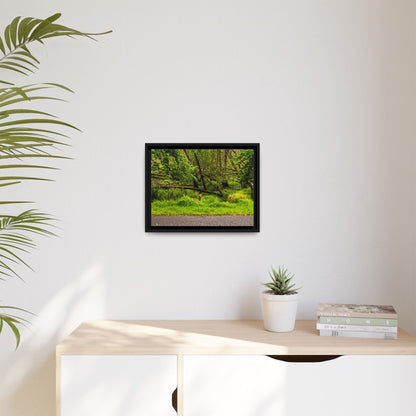 Deer in Ditch Matte Canvas, Framed (Multi-color)