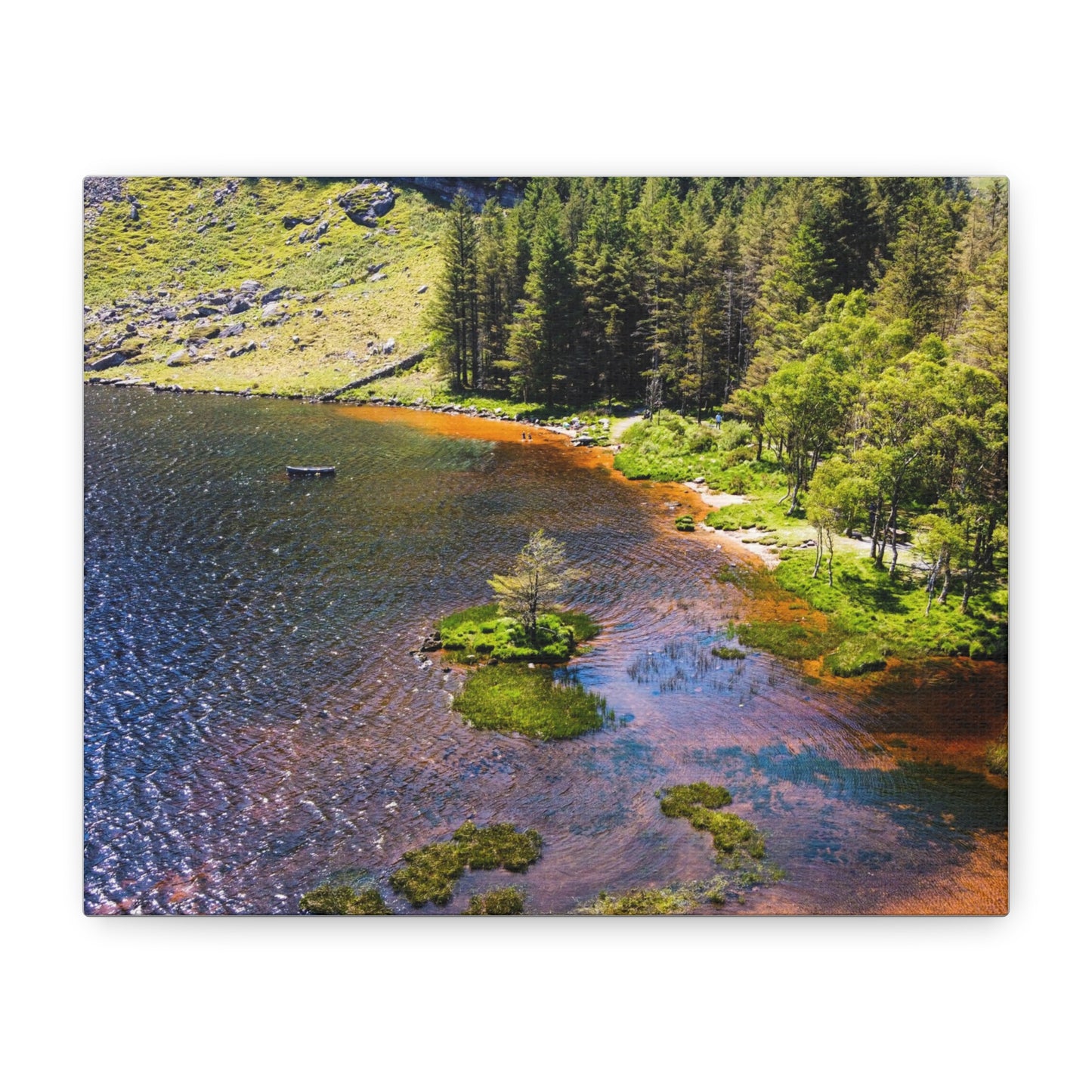 Gleanteenassig Forest Matte Canvas, Stretched, 1.25"