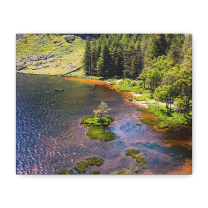 Gleanteenassig Forest Matte Canvas, Stretched, 1.25"
