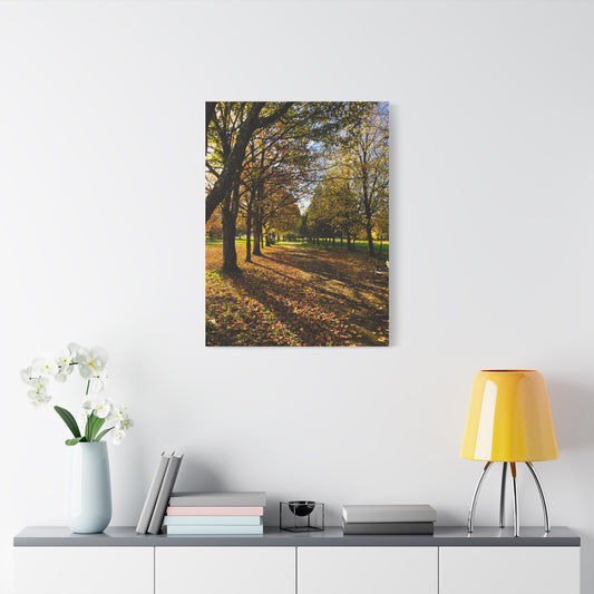 Listowel Town Park Autumn Matte Canvas, Stretched, 1.25"