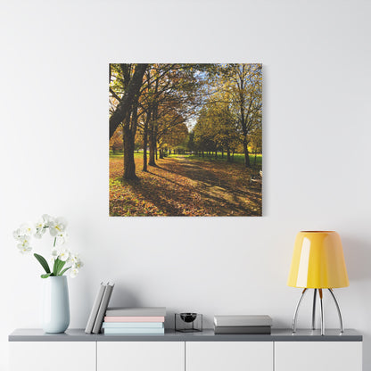 Listowel Town Park Autumn Matte Canvas, Stretched, 1.25"