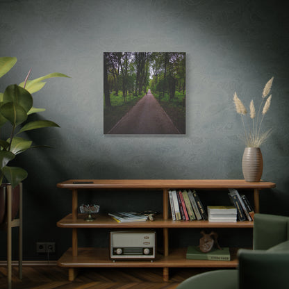 Zagares Park Lithuania Matte Canvas, Stretched, 1.25"