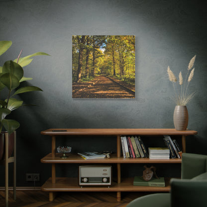 Listowel Town Park Autumn Matte Canvas, Stretched, 1.25"
