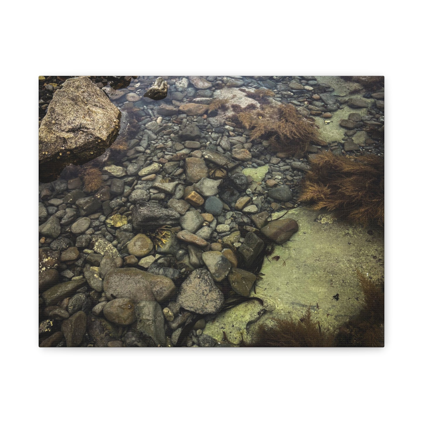 Rocks Matte Canvas, Stretched, 1.25"