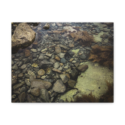 Rocks Matte Canvas, Stretched, 1.25"