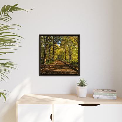 Listowel Town Park Autumn Matte Canvas, Framed (Multi-color)