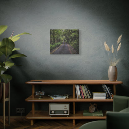 Glanageenty Forest Trail Matte Canvas, Stretched, 1.25"