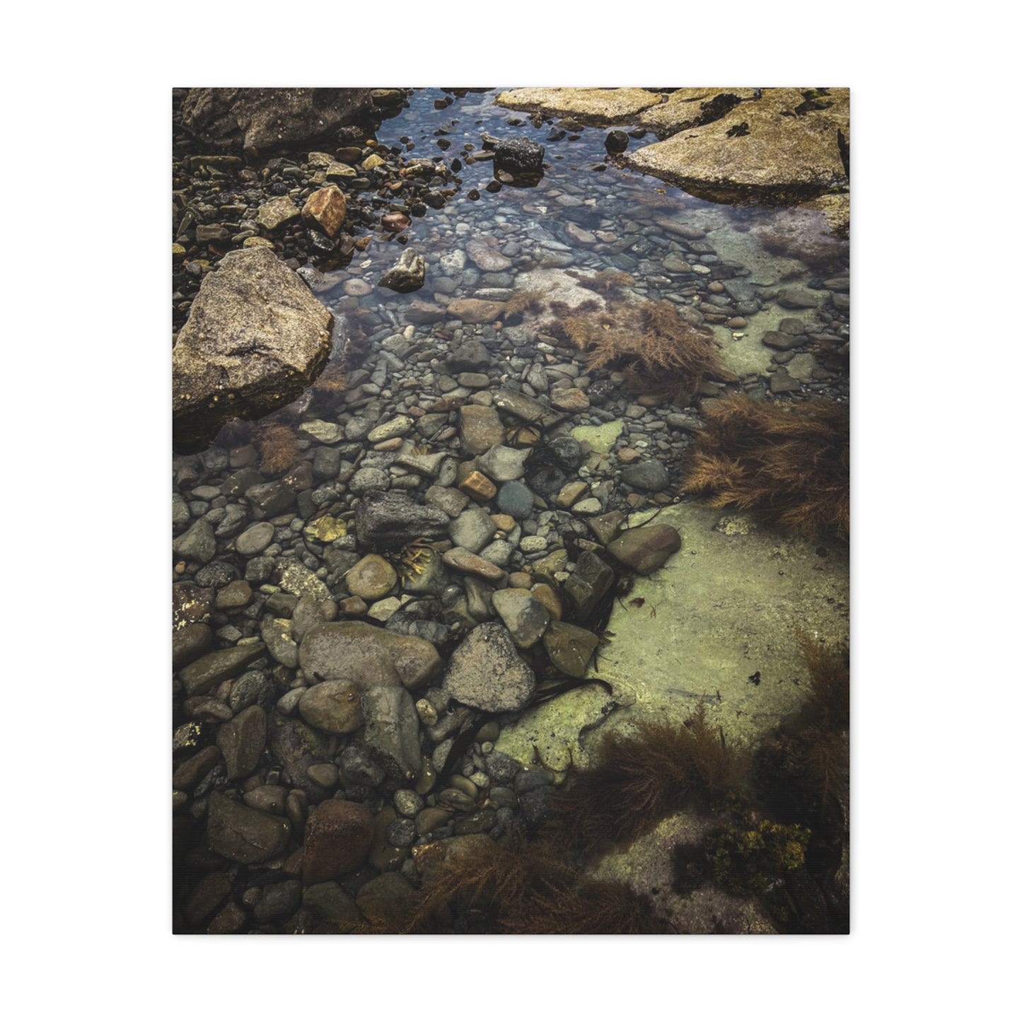 Rocks Matte Canvas, Stretched, 1.25"