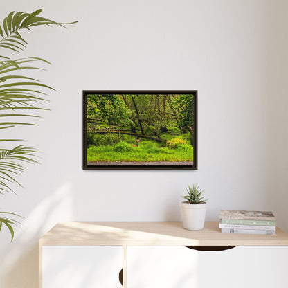 Deer in Ditch Matte Canvas, Framed (Multi-color)