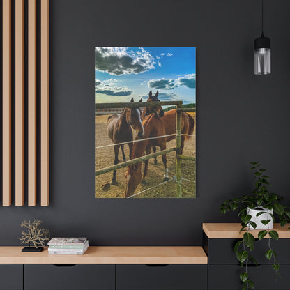 Horses Matte Canvas, Stretched, 1.25"