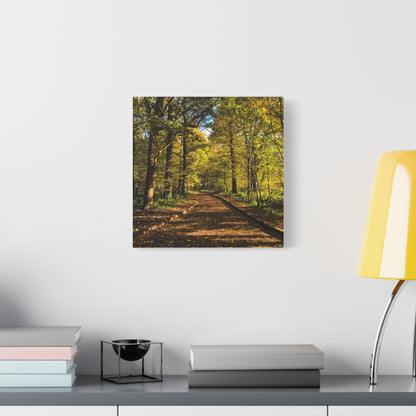 Listowel Town Park Autumn Matte Canvas, Stretched, 1.25"