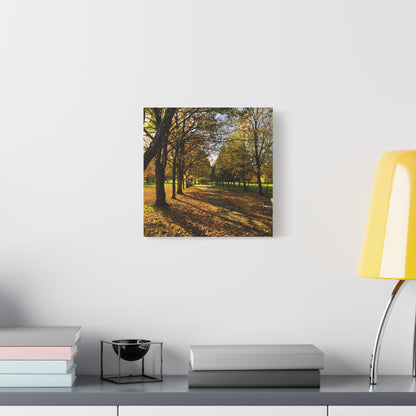 Listowel Town Park Autumn Matte Canvas, Stretched, 1.25"