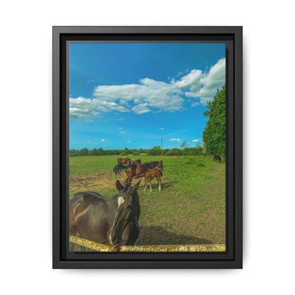 horses 2 Matte Canvas, Framed (Multi-color)