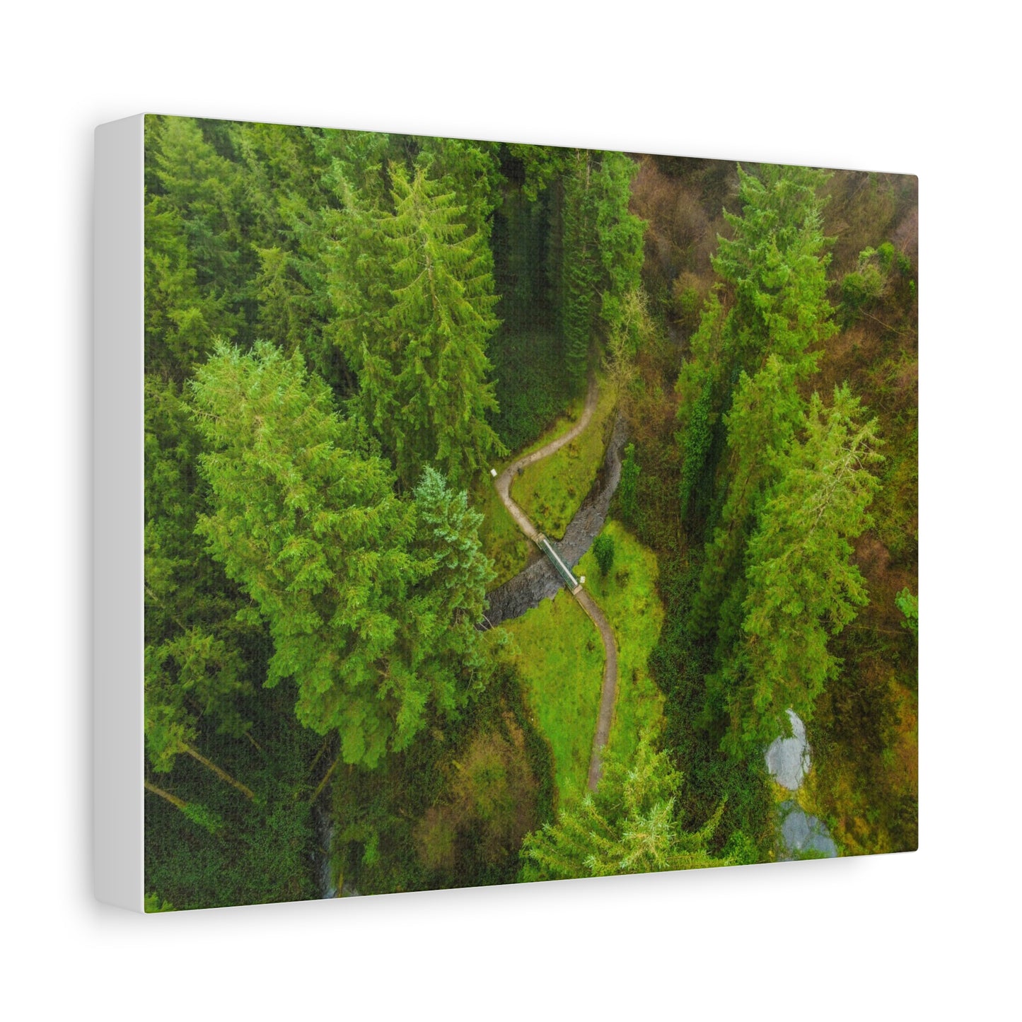 Glanageenty Forest Matte Canvas, Stretched, 1.25"