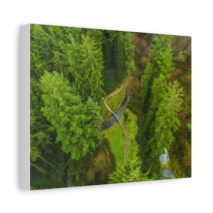 Glanageenty Forest Matte Canvas, Stretched, 1.25"